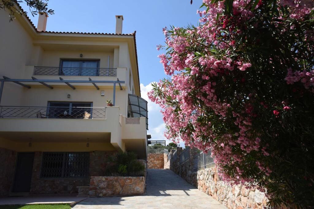 Villa Seaside Andronikos