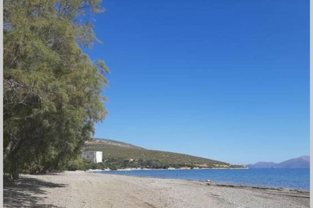 Seaside Andronikos Villa
