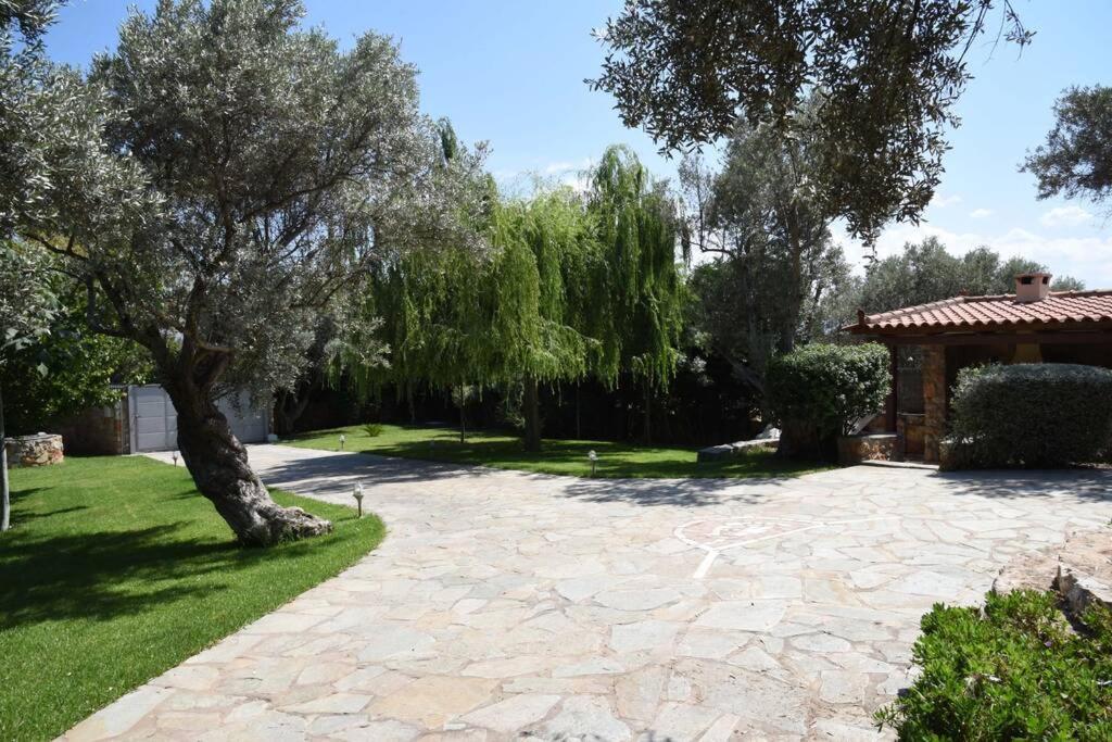 Villa Seaside Andronikos Amarynthos