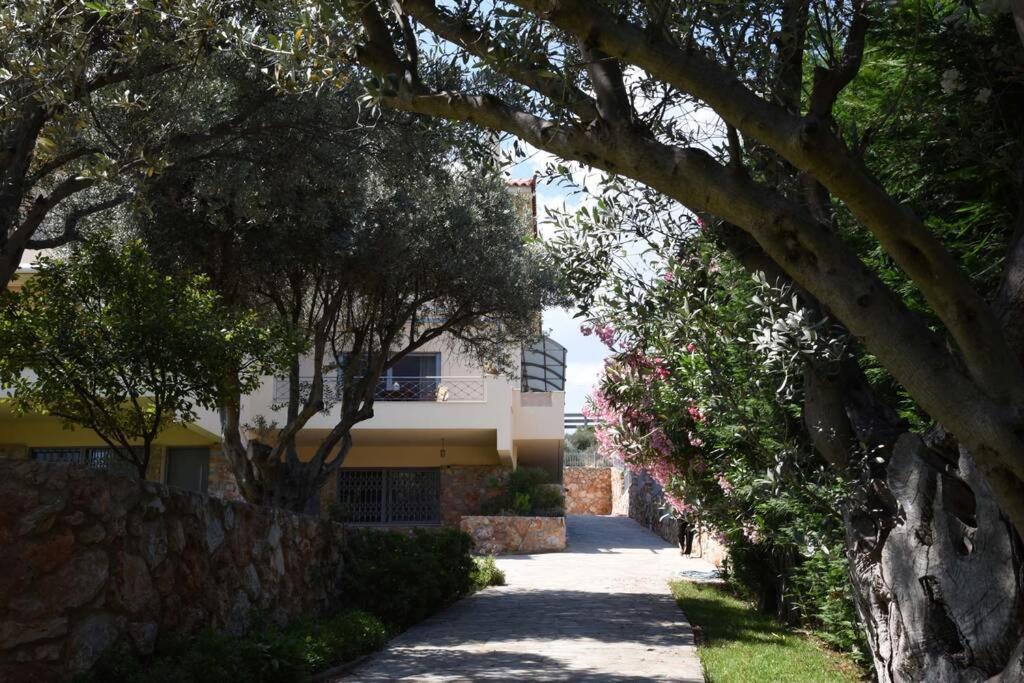 Seaside Andronikos Villa *