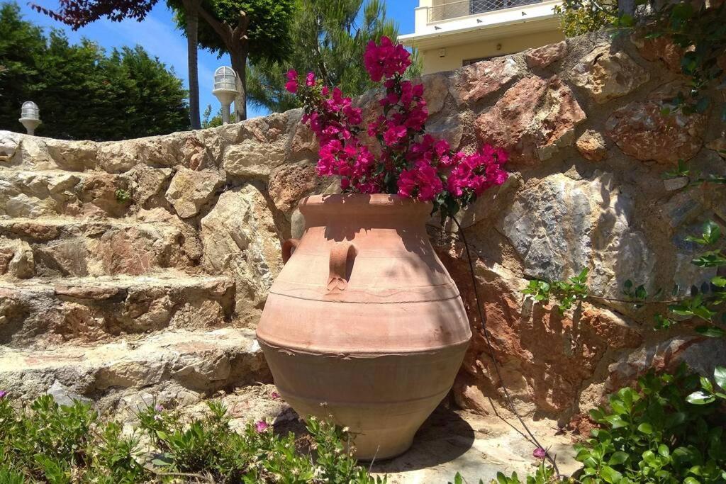 Villa Seaside Andronikos Amarynthos
