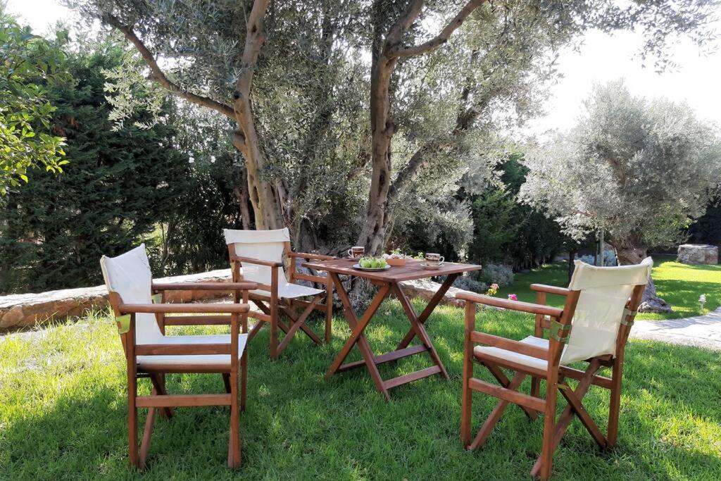 Villa Seaside Andronikos
