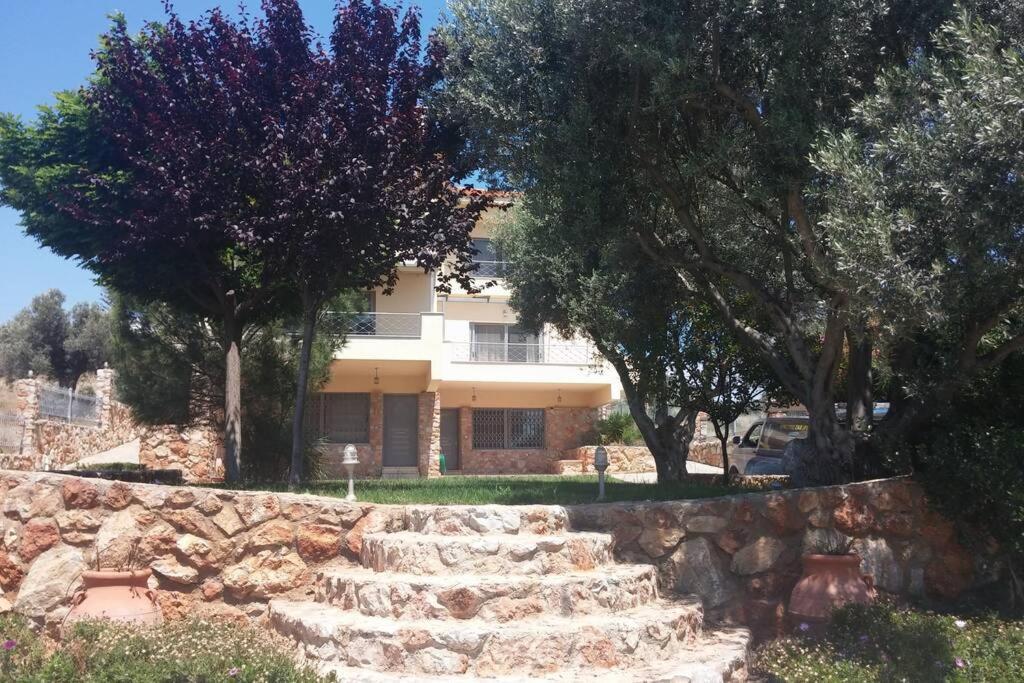 Seaside Andronikos Villa Amarynthos