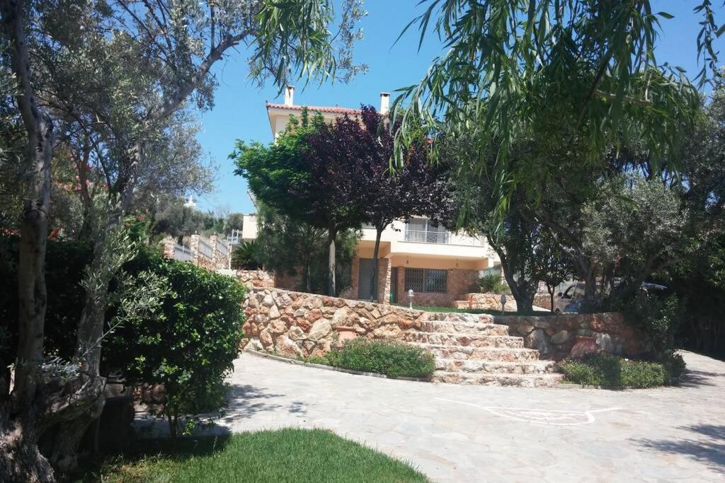 Seaside Andronikos Villa