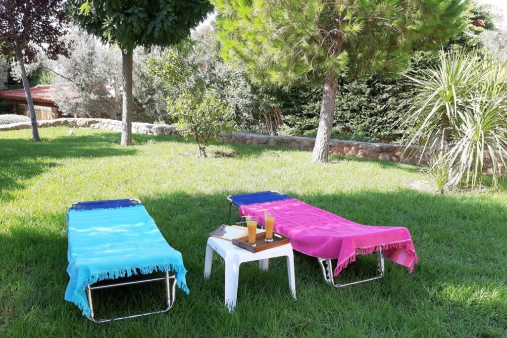 Villa Seaside Andronikos
