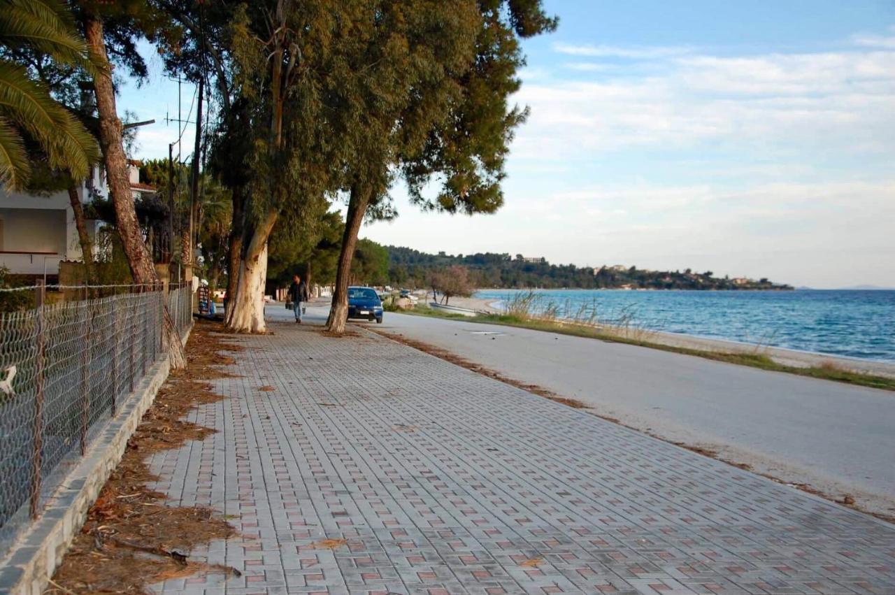 Miranda Apartment Nikiti (Sithonia)