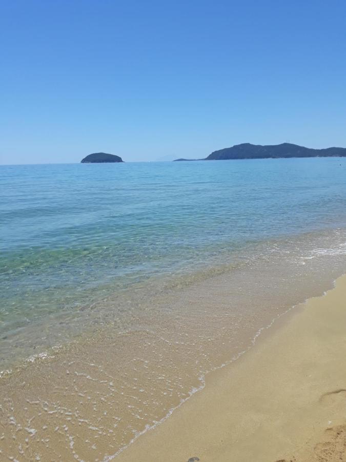 Spyros Palaiontsiflikion