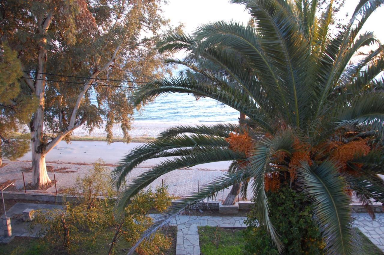 Miranda Apartment Nikiti (Sithonia)