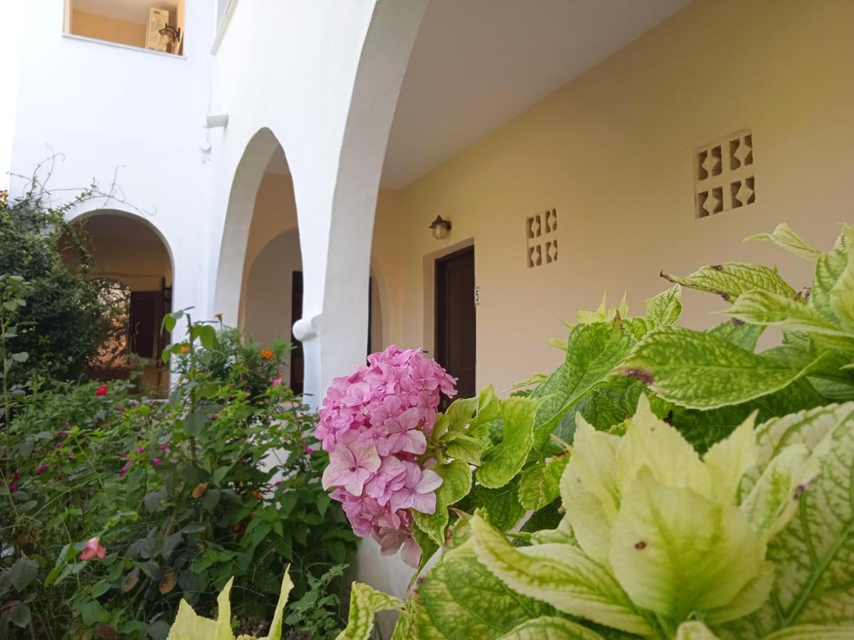 Santa Maria Guest house *