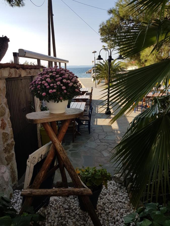 Hotel Marina