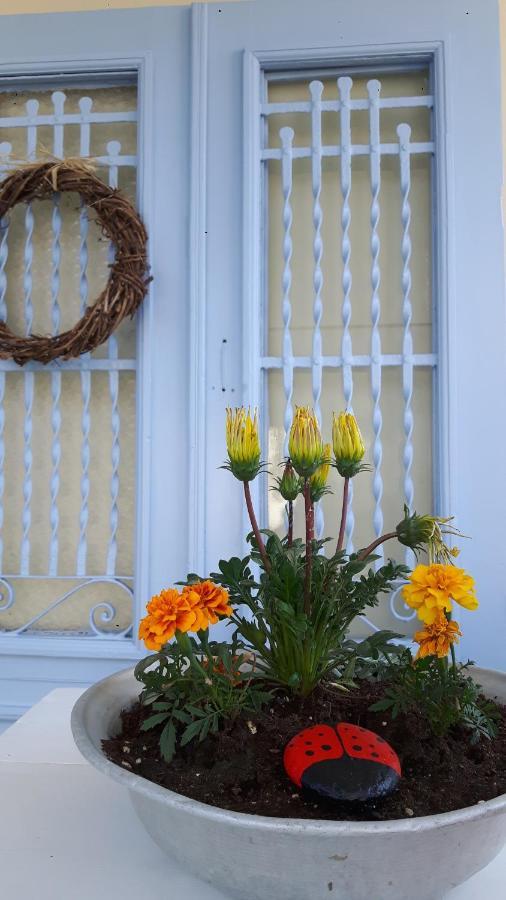 Holiday home Cavos Seaside House Vathy (Ithaca)