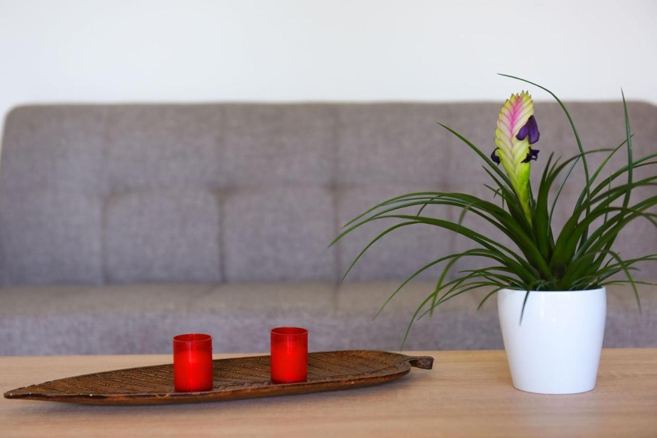 Stelia Luxury Apartment Kalavarda