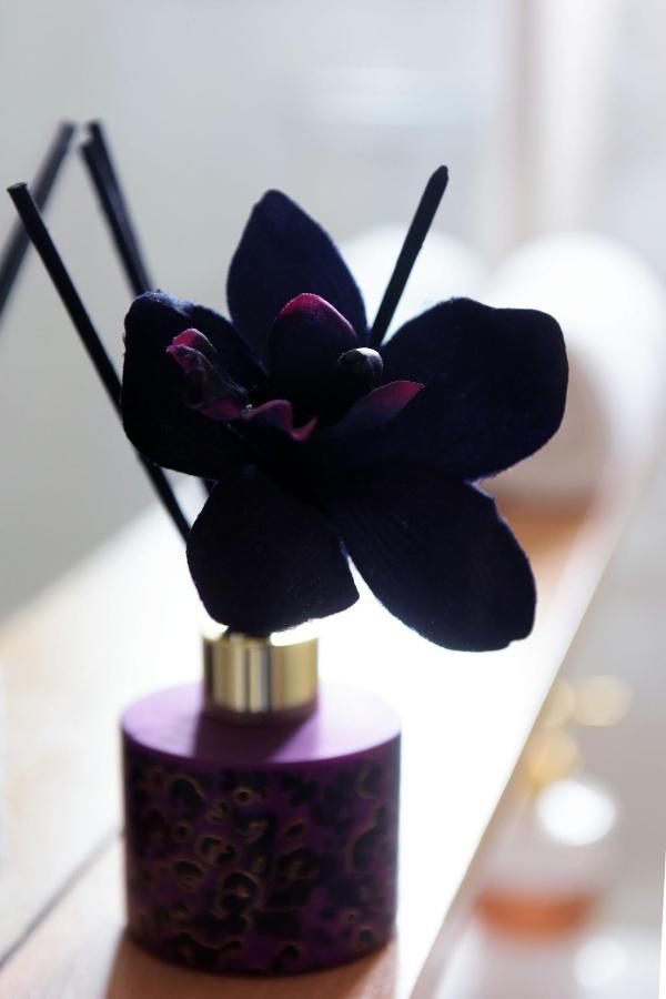 Stelia Luxury *