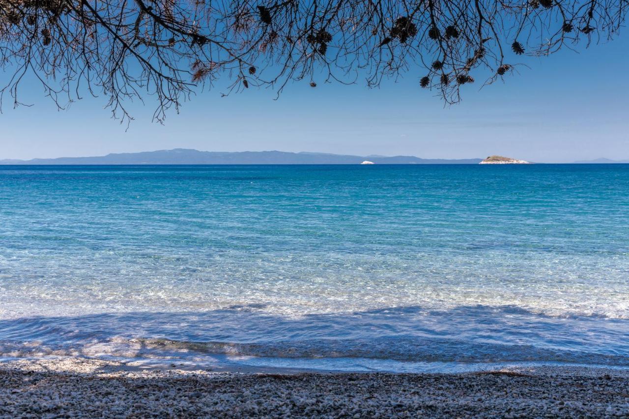 Stamatiou Estate Guest house *