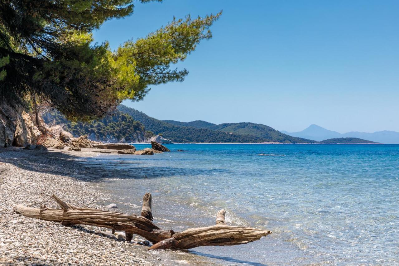 Stamatiou Estate Guest house Neo Klima