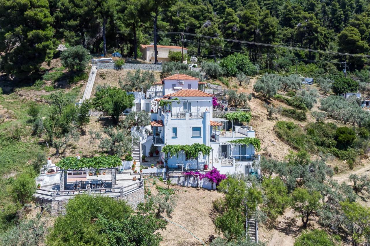 Stamatiou Estate Neo Klima