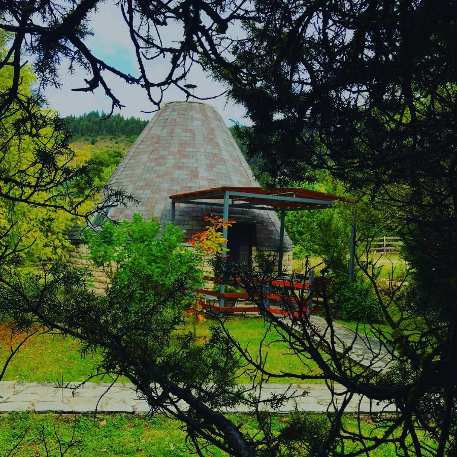 Theasis-igloo Lodge *