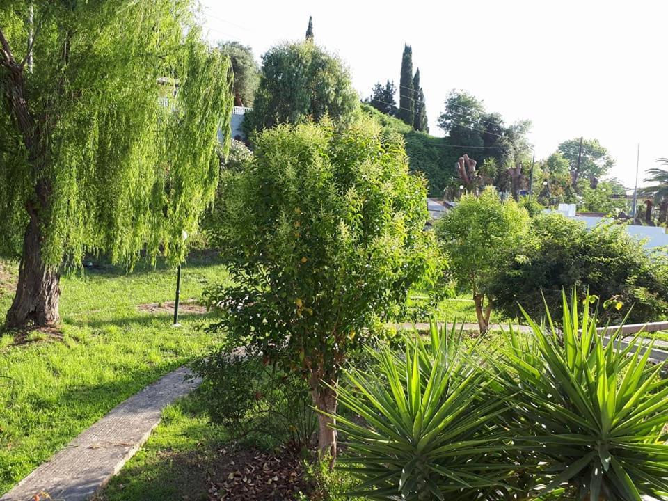 Bed & Breakfast Nondes Sidari (Corfu)