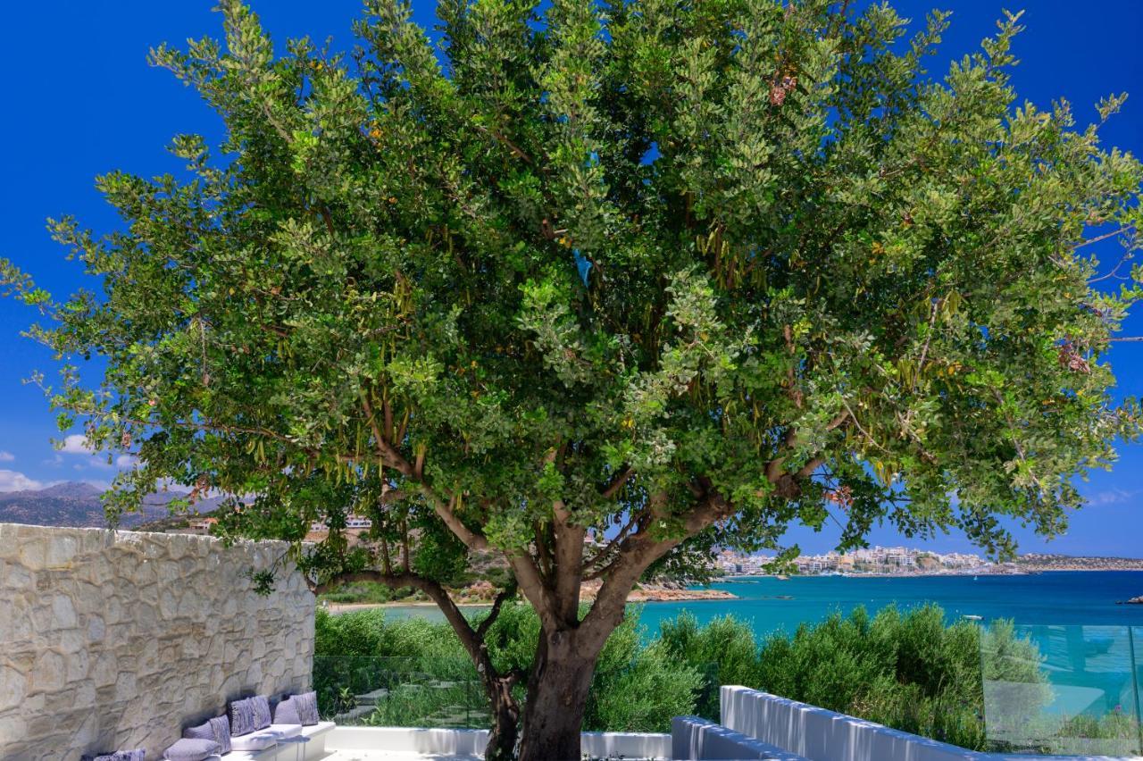 The Island Concept Luxury Boutique Heated Pool 5*