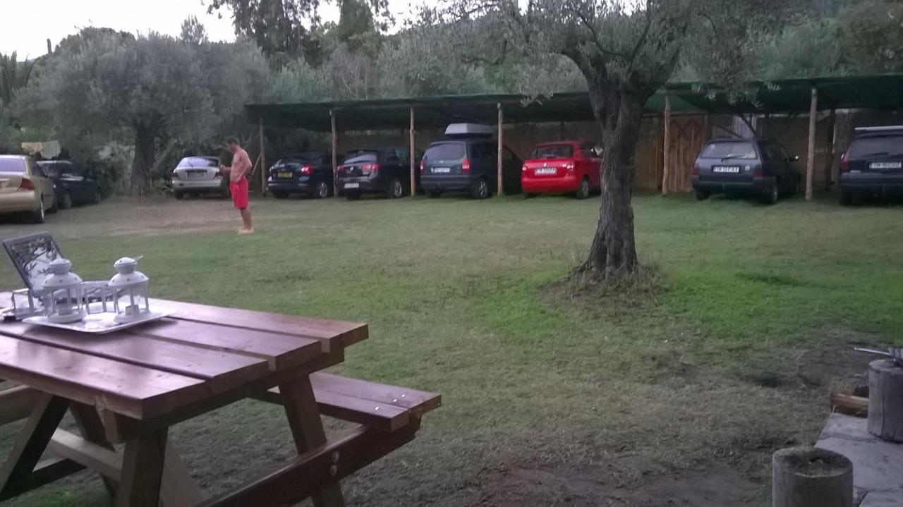 Gorgona Vourvourou