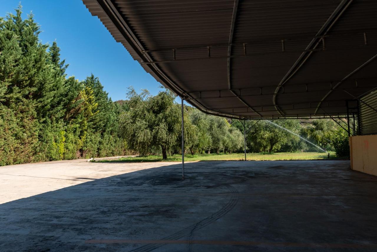 Anilio Plaza Zacharo