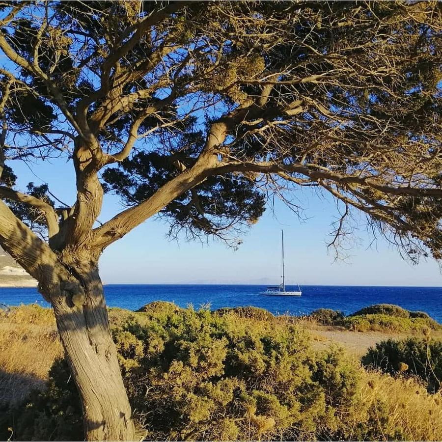 Antiparos Luxury Apartment