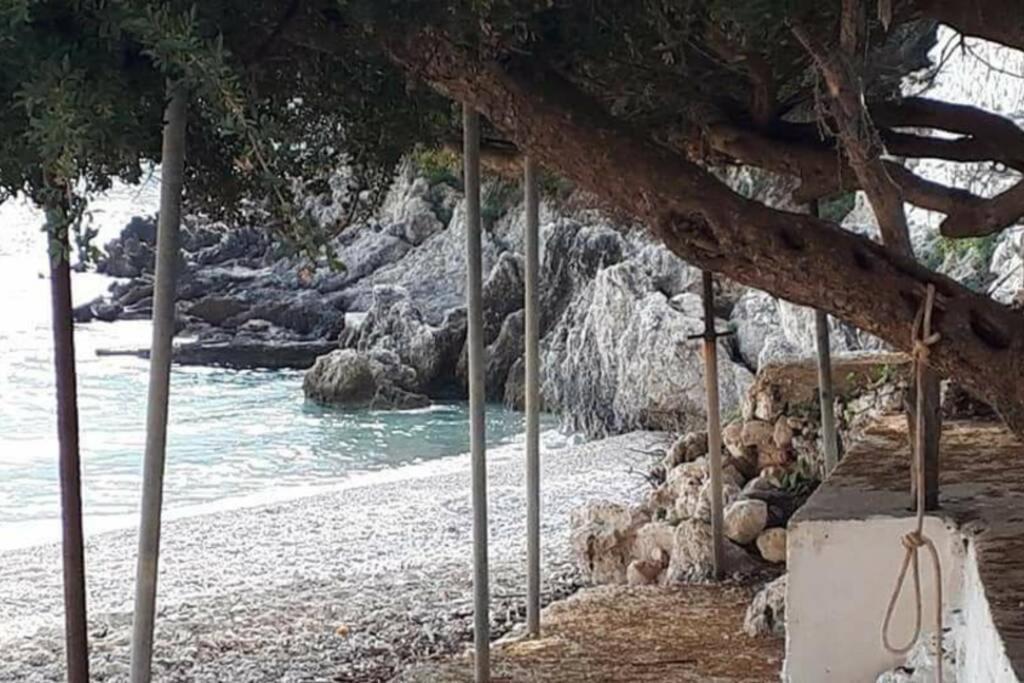 Manto Lefkada