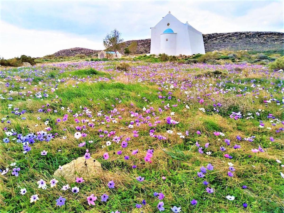 Liviko View * Xerokampos (Crete)