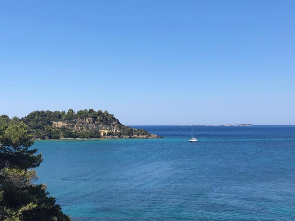 Apartment Angeliki Lassi (Kefalonia)