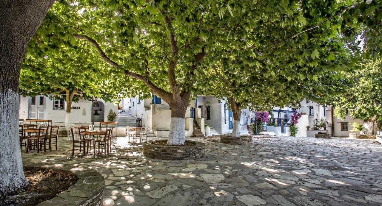 The Nest Triandaros (Tinos)
