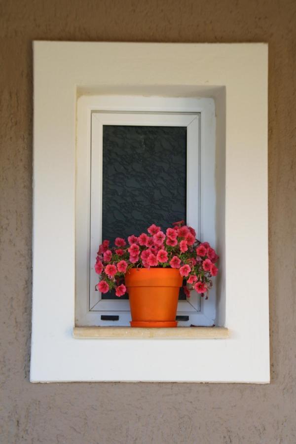 Apartment Nikoleta's Argostoli (Kefalonia)
