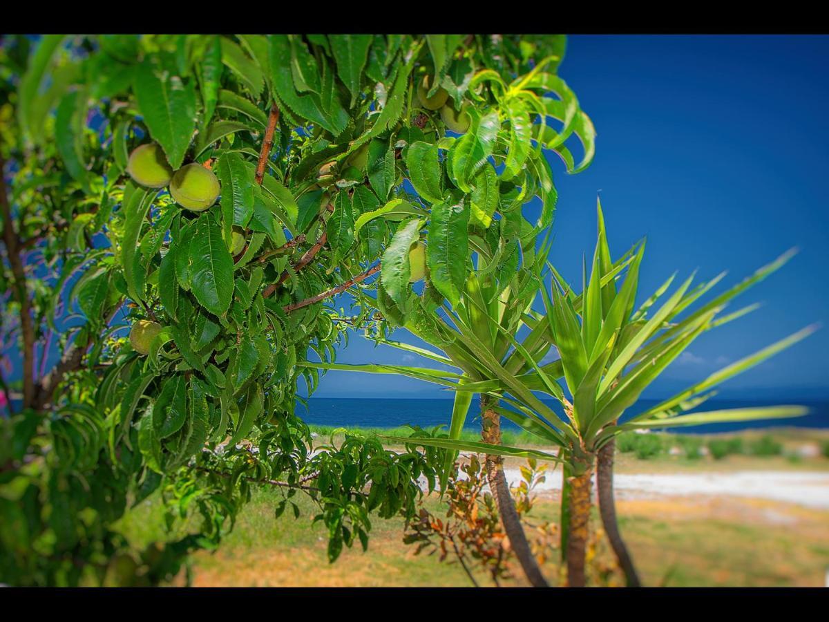 Sea La Vie Skala Rachoni (Thasos)