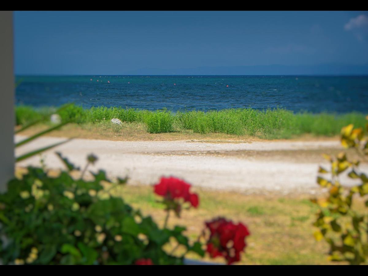 Sea La Vie