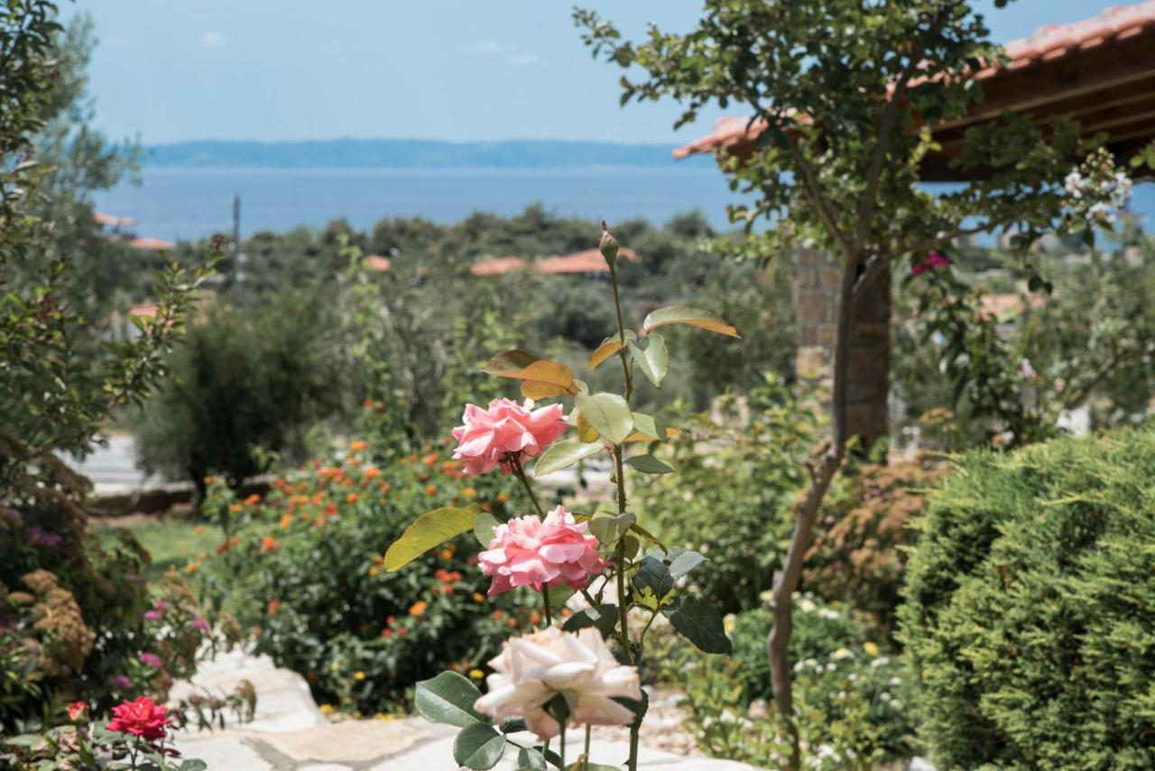 Ellaida Holiday home Lagomandra