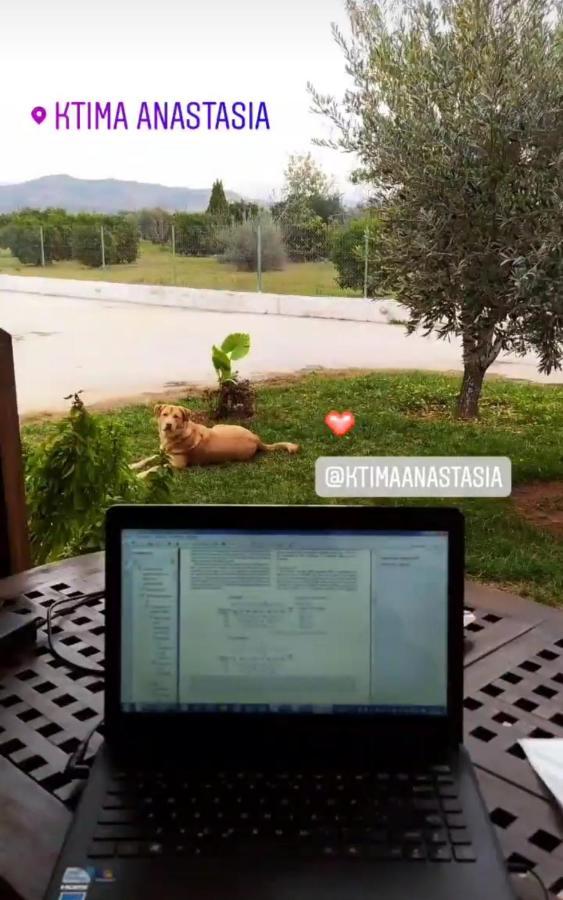 Ktima Anastasia Country house