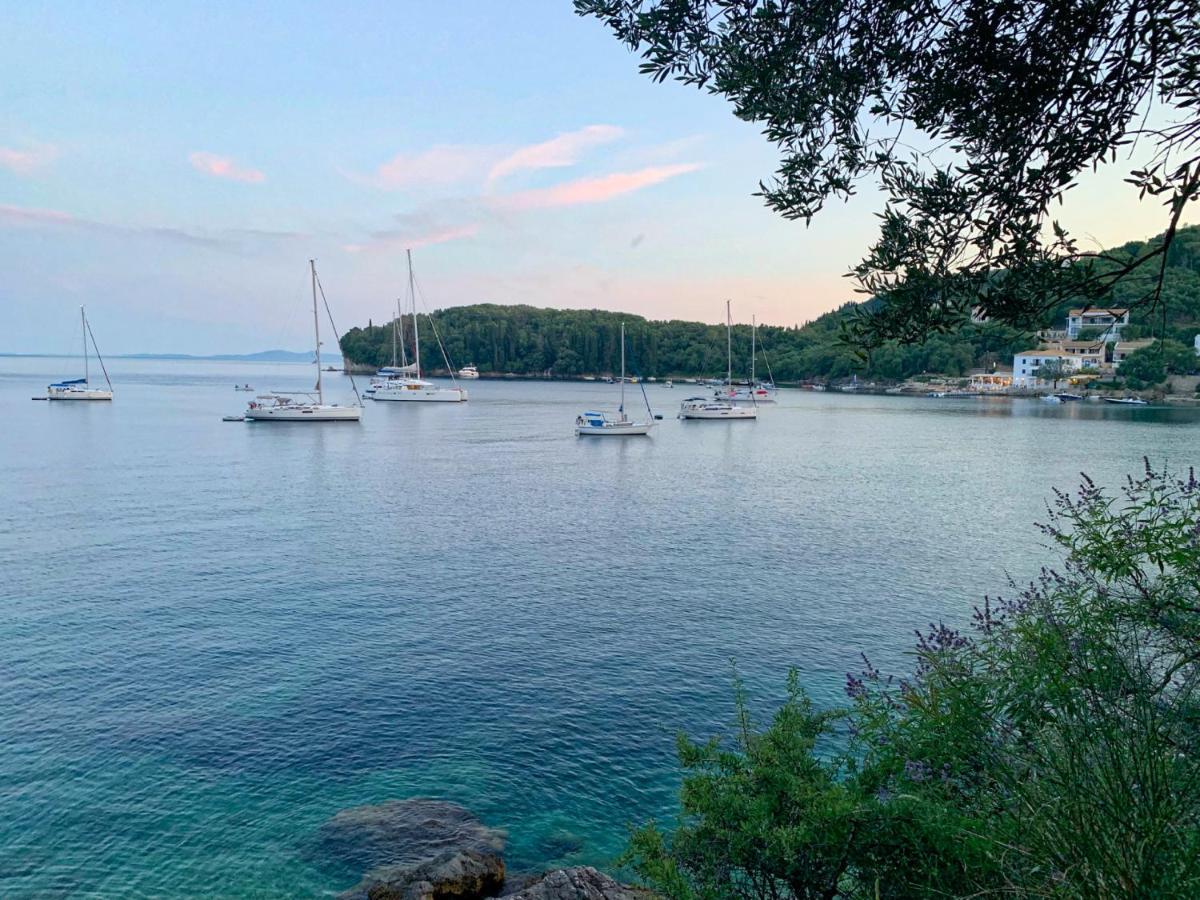 Paleopetres K-five - Premium Double - - Holiday home Kalami (Corfu)
