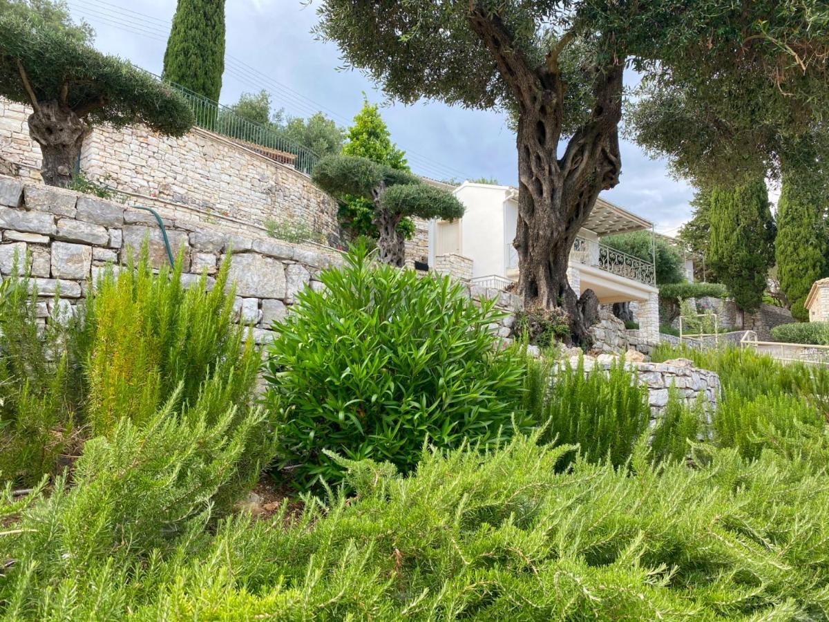 Holiday home Paleopetres K-five - Premium Double - - Kalami (Corfu)