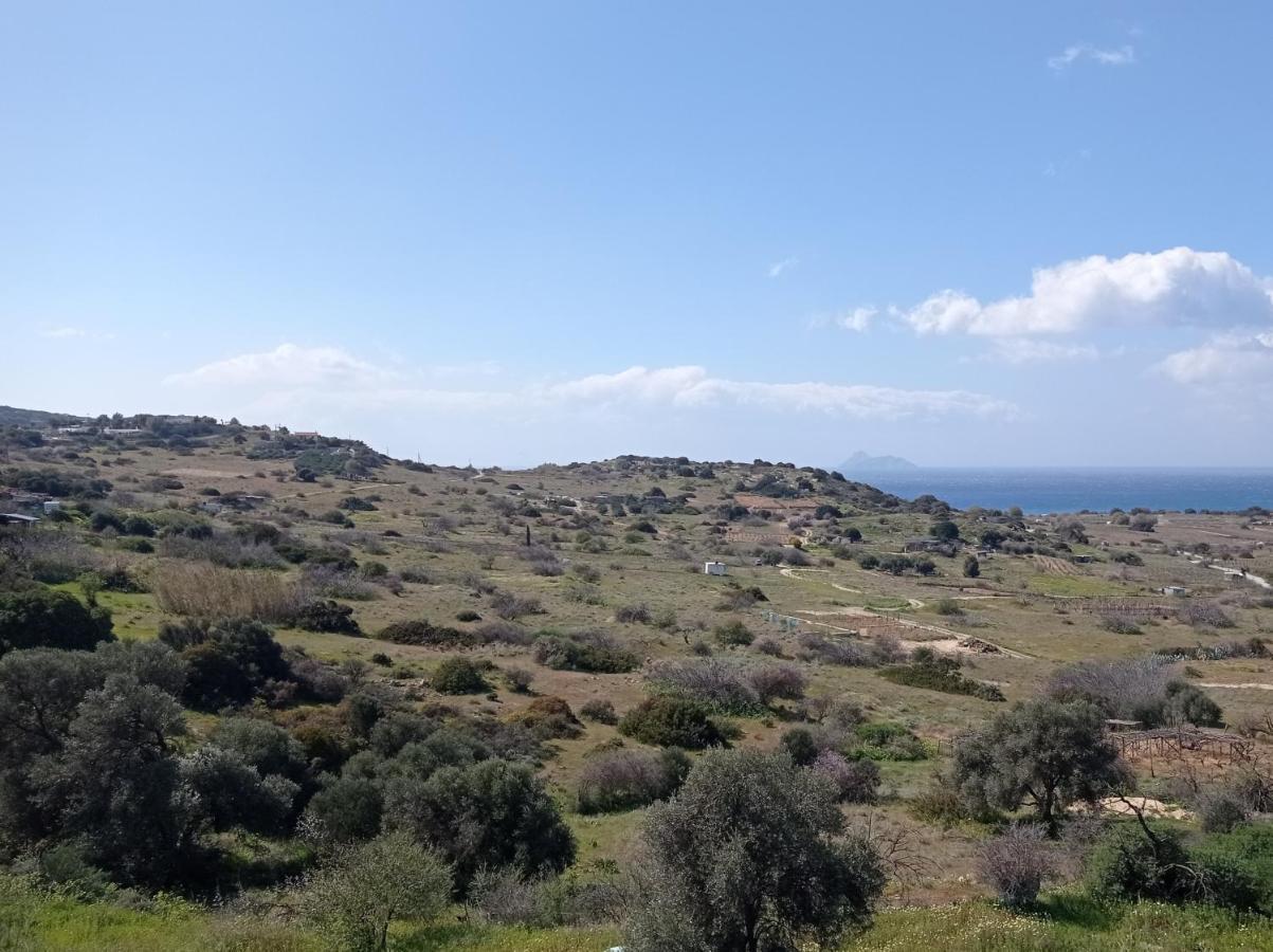 Panorama Apartment Pitsidia