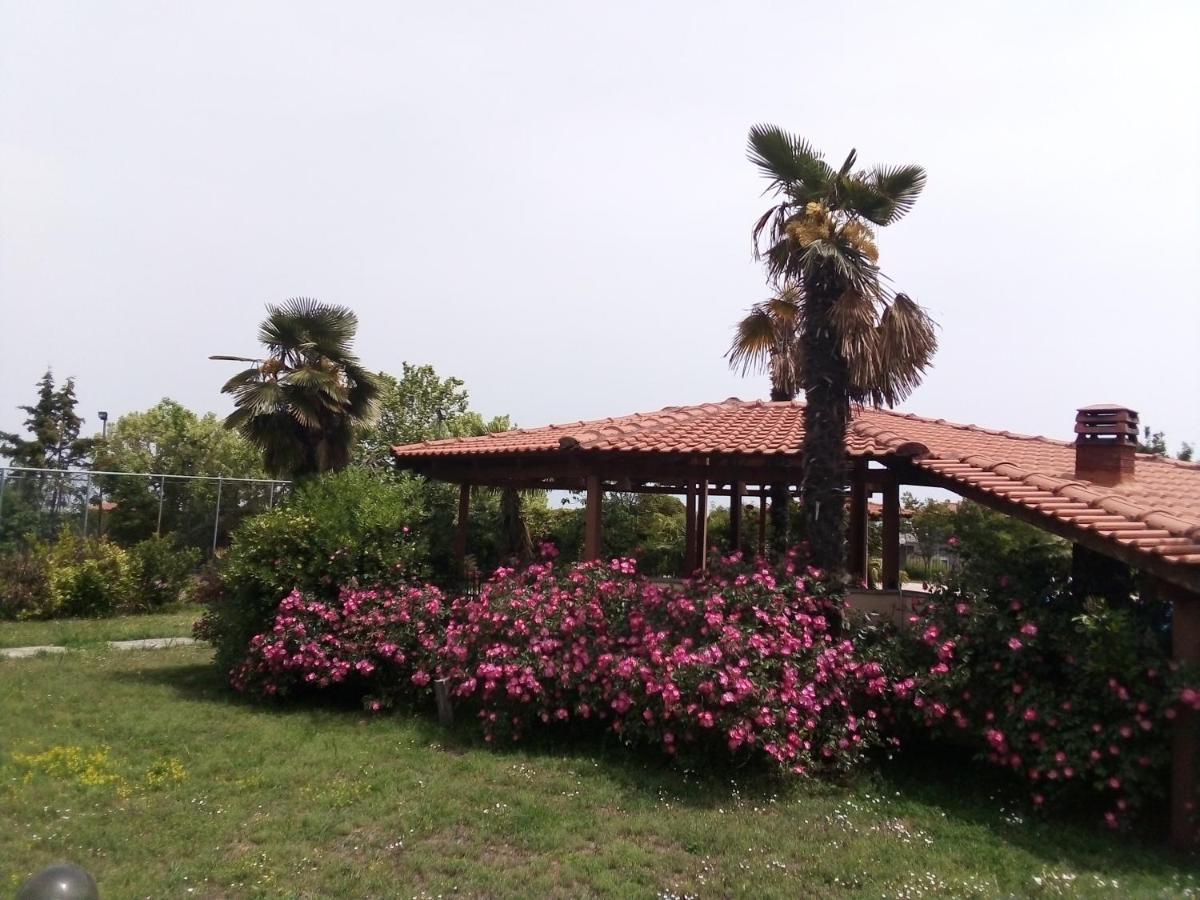 Anna Villa