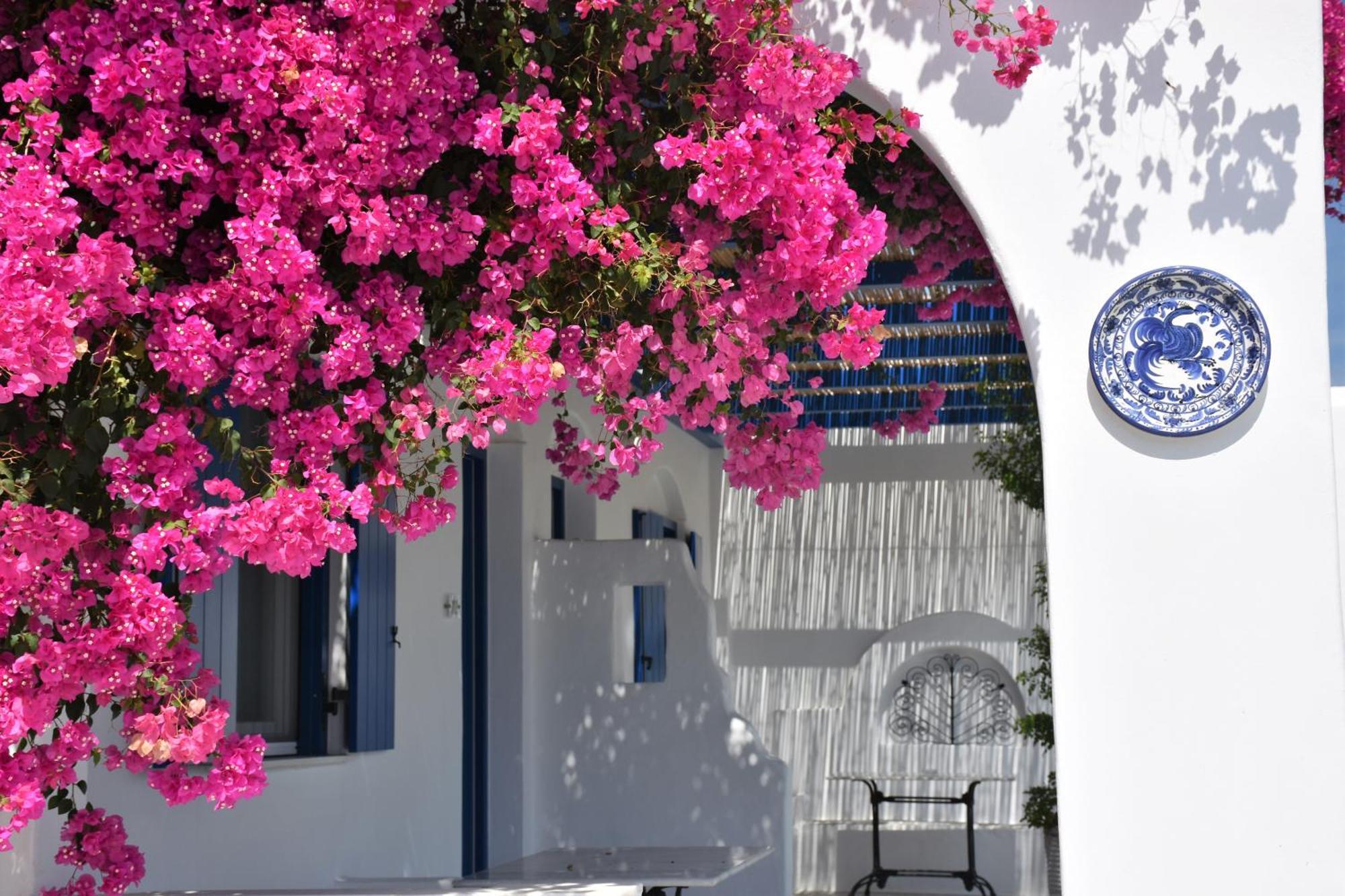 Marina Aparthotel 3*