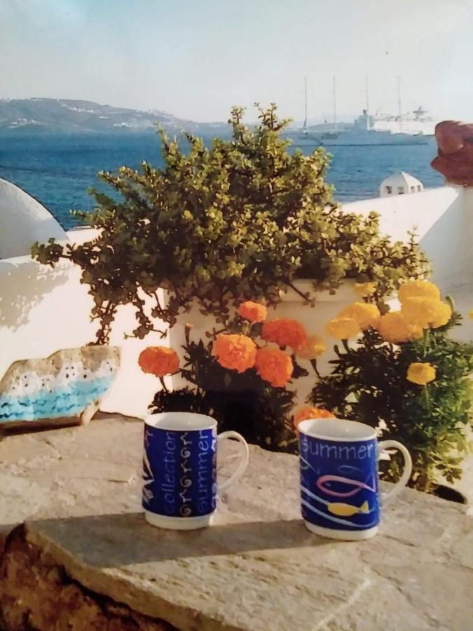 4bd Blue Dream Mykonos Holiday home