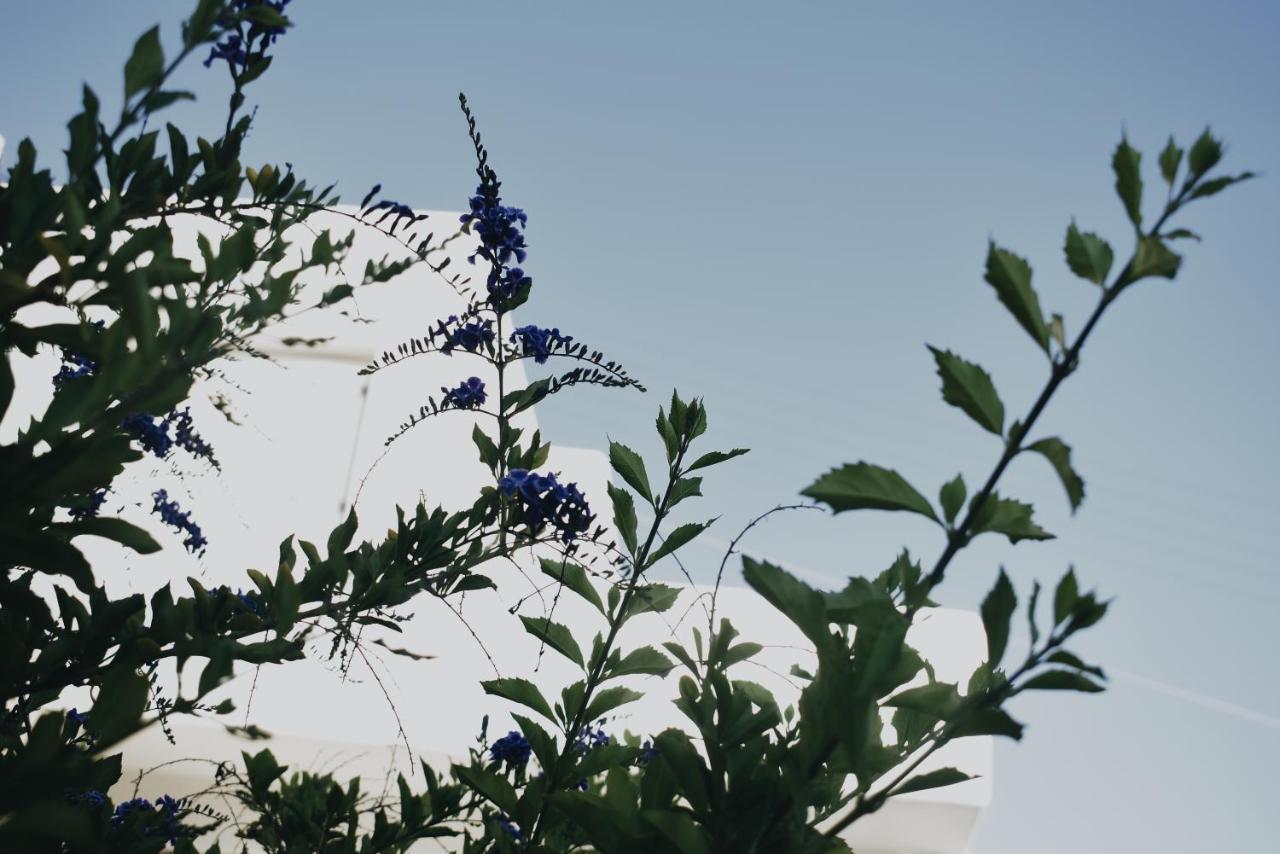 Heyblue Aura Seaside - Unique Escape * Naxos City