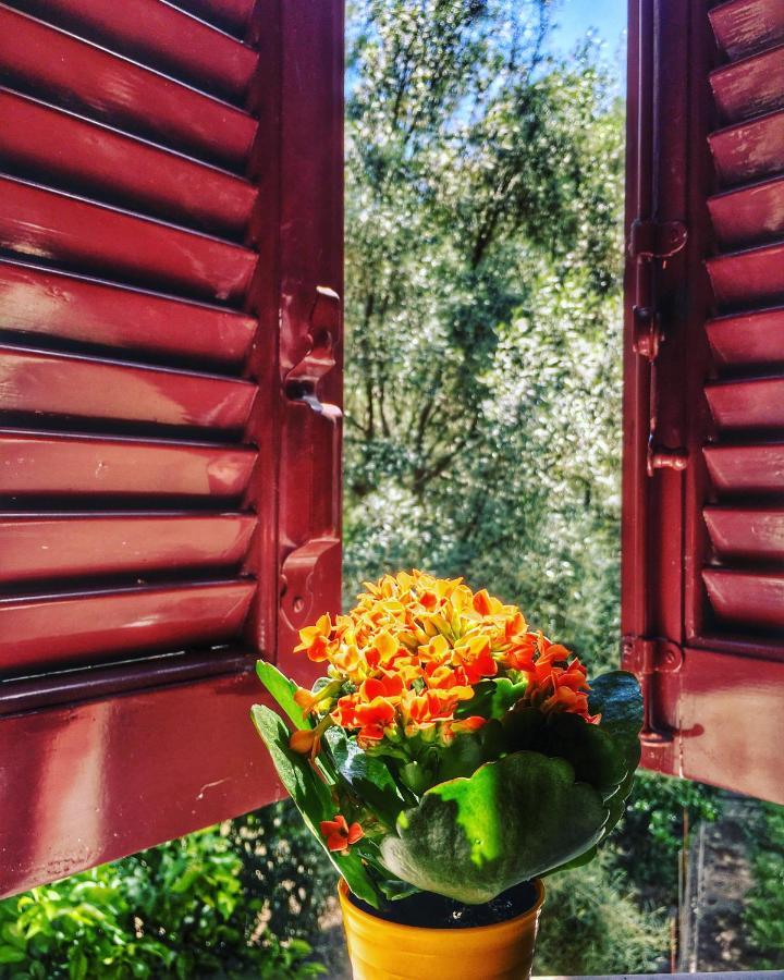 Camelia Aparthotel *