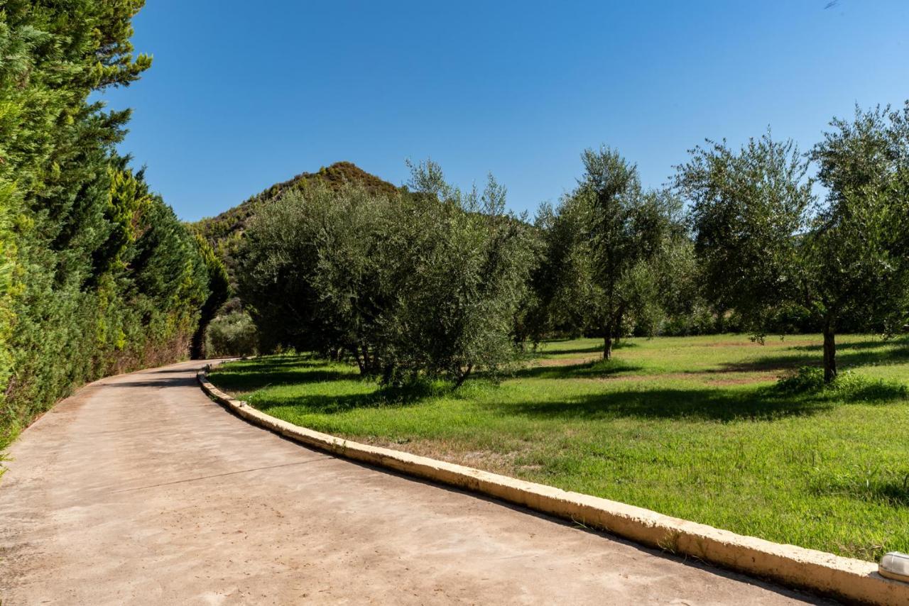 Anilio Plaza Zacharo