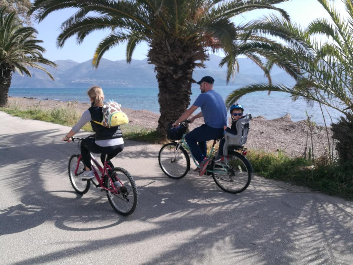 Alekos Beach Houses-Alekos Beach Complex Apartment Lixouri