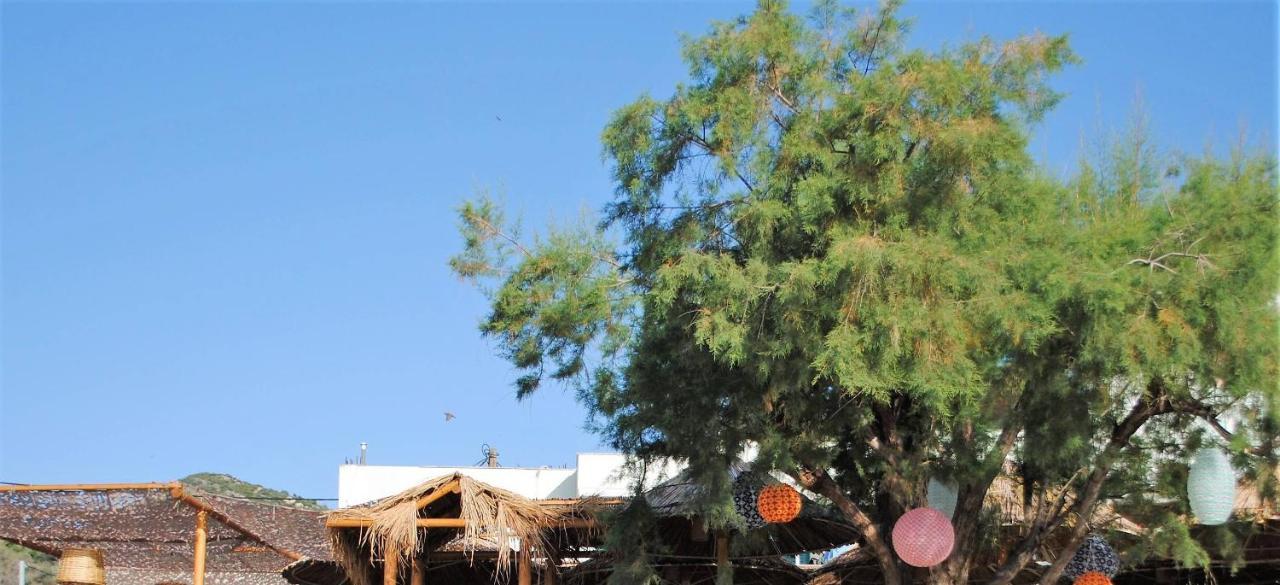 Puerto Seaside Akhladheri