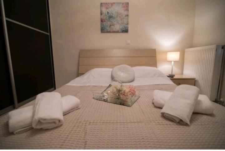 Ammos Holiday home Salamis