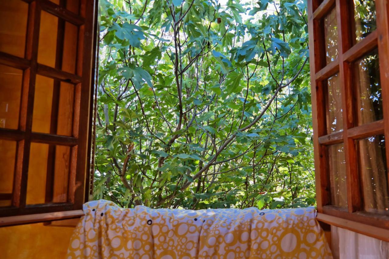 Guest house Elisson