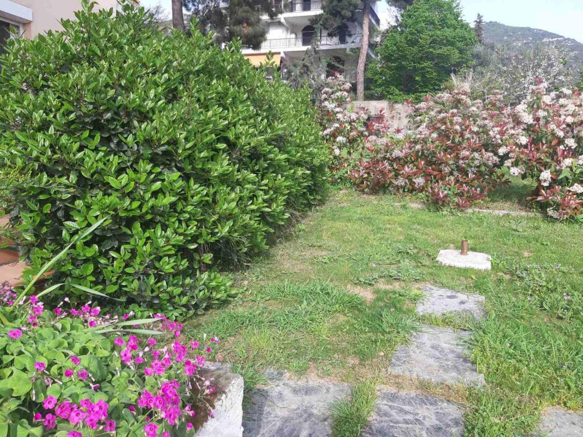 Apartment Palio Palaiontsiflikion