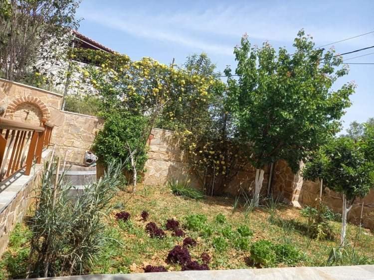 Peaceful House Near Airport Holiday home